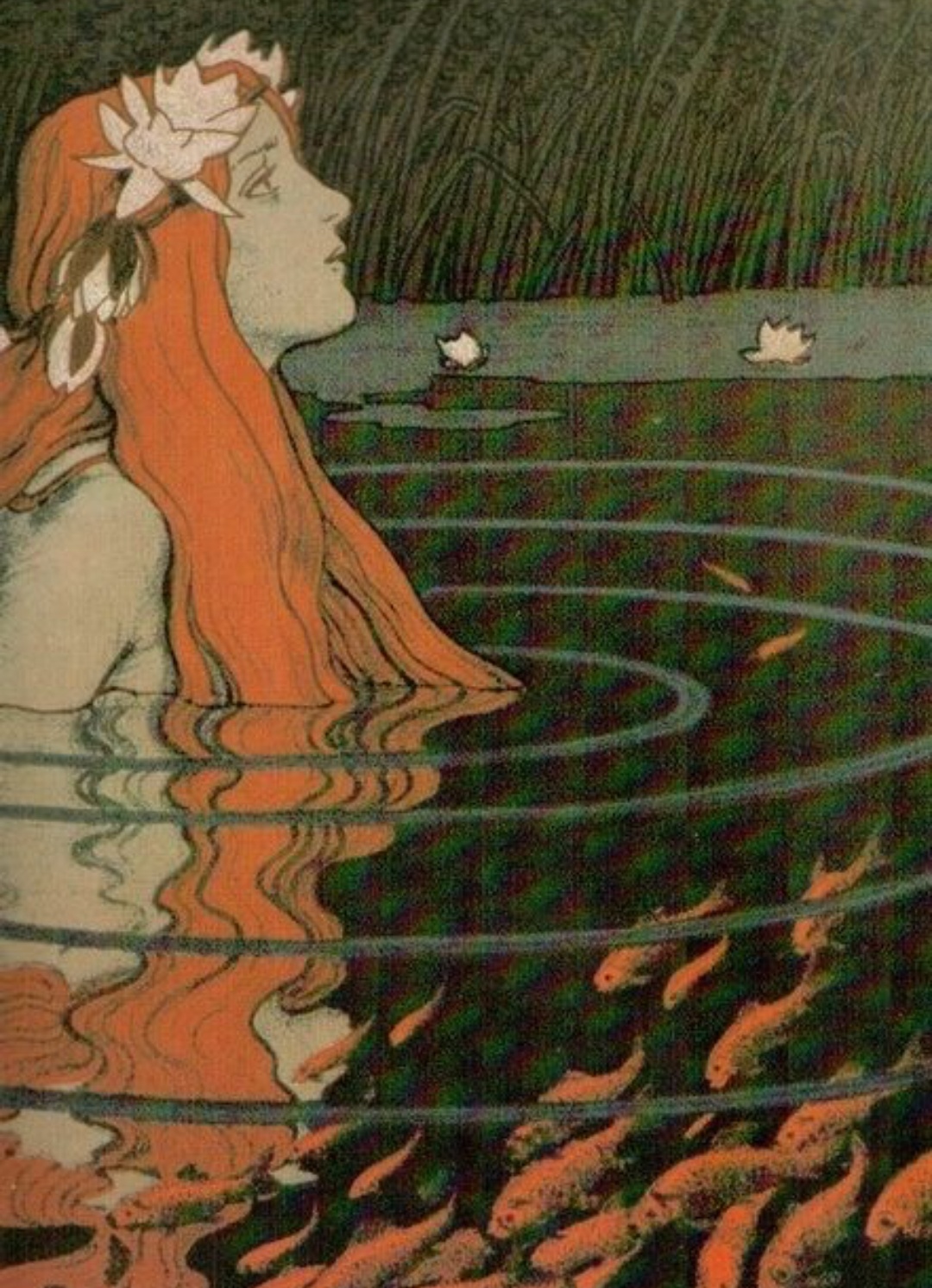 nymph in a goldfish pond by franz hein,